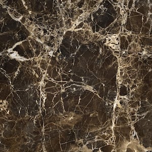 Emperador Dark 12 in. x 12 in. Polished Marble Floor and Wall Tile (10 sq. ft. / Case)