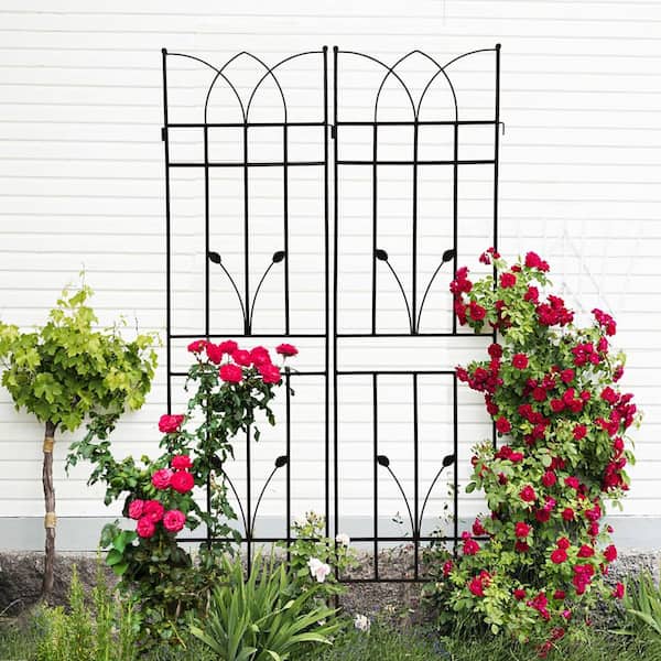4 Pack Metal Garden Rustproof Trellis 71 in. Height for Climbing Plants Outdoor Flower Support in Black