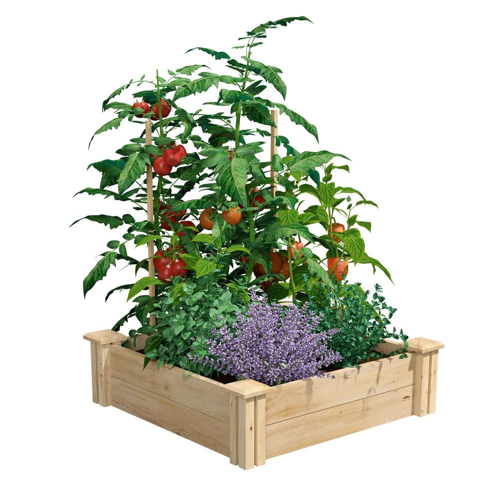 Greenes Fence 2 ft. x 2 ft. x 7 in. Original Cedar Raised Garden Bed ...