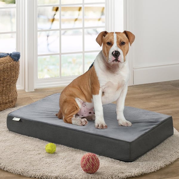 Memory foam best sale dog rug