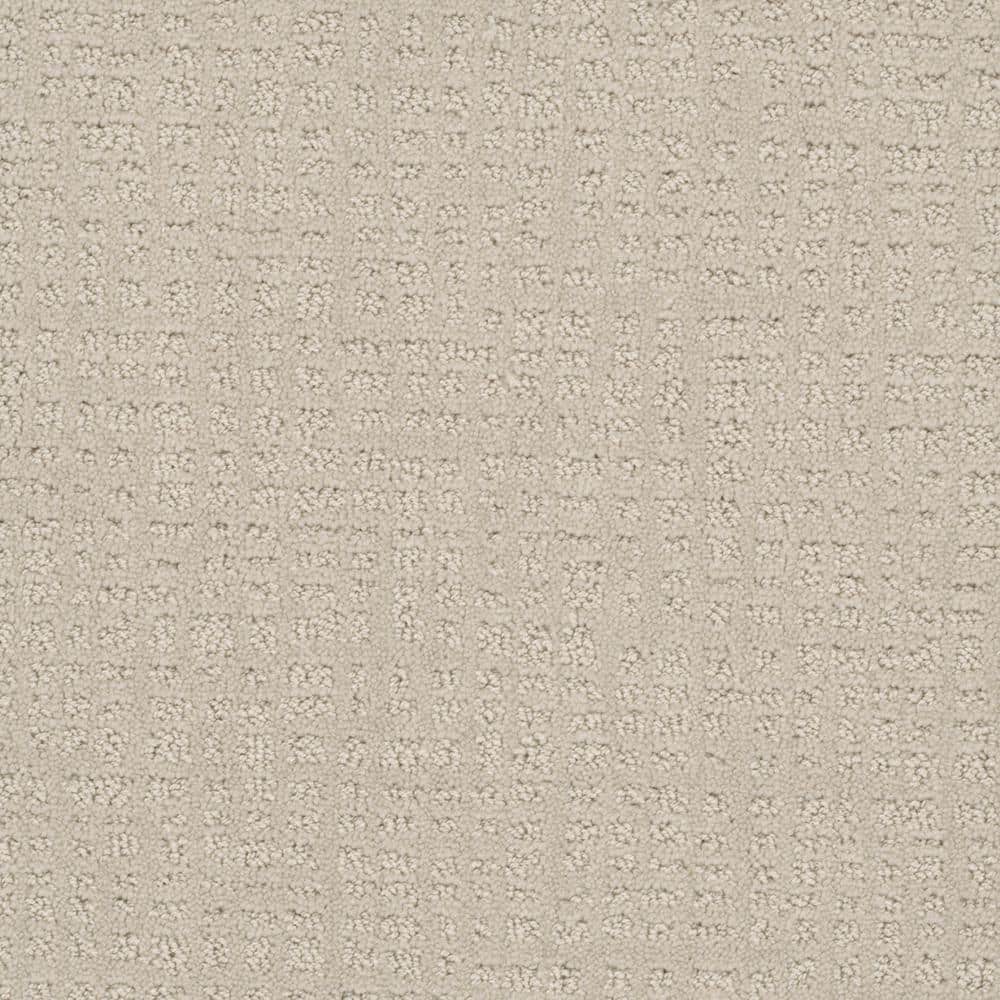 8 in. x 8 in. Pattern Carpet Sample - Foxpoint - Color Archer price history on PriceWatchPro