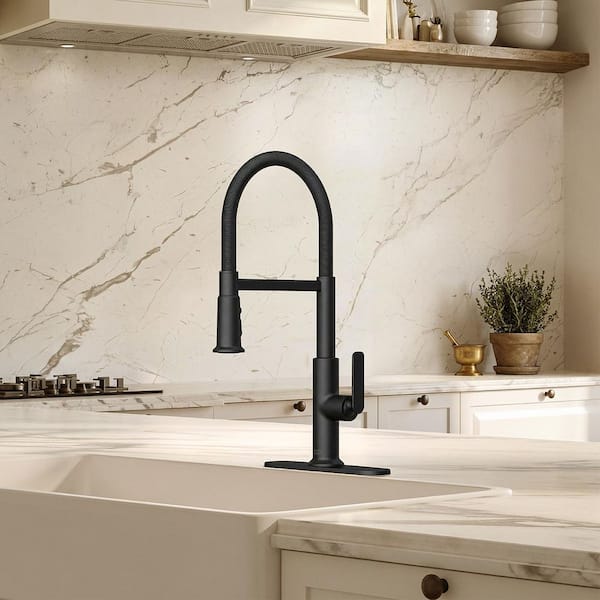 American Standard Sonner 20 in. Single Handle Pull-Down Sprayer