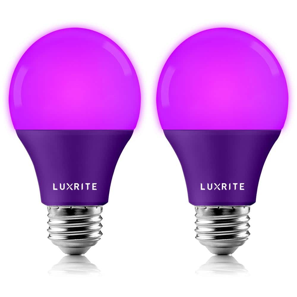 60-Watt Equivalent A19 LED Light Bulb Purple Light Bulb (2-Pack) price history on PriceWatchPro