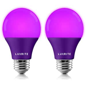 60-Watt Equivalent A19 LED Light Bulb Purple Light Bulb (2-Pack)