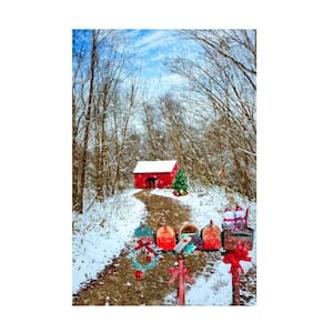 Unframed Home Celebrate Life Gallery 'Christmas Mailboxes' Photography Wall Art 12 in. x 19 in. .