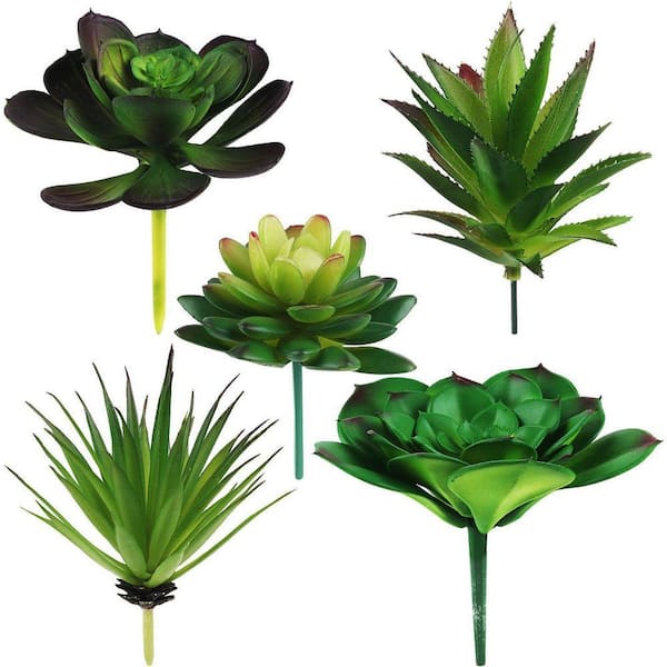 marigolds seeds from flower Marigold Seed Bundle (6 Pack) main image 0