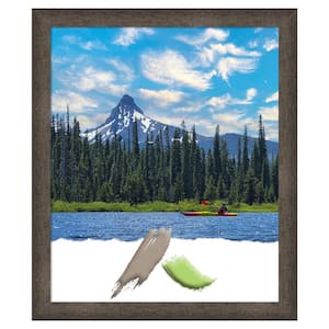 Dappled Light Bronze Narrow Wood Picture Frame Opening Size 20 x 24 in.