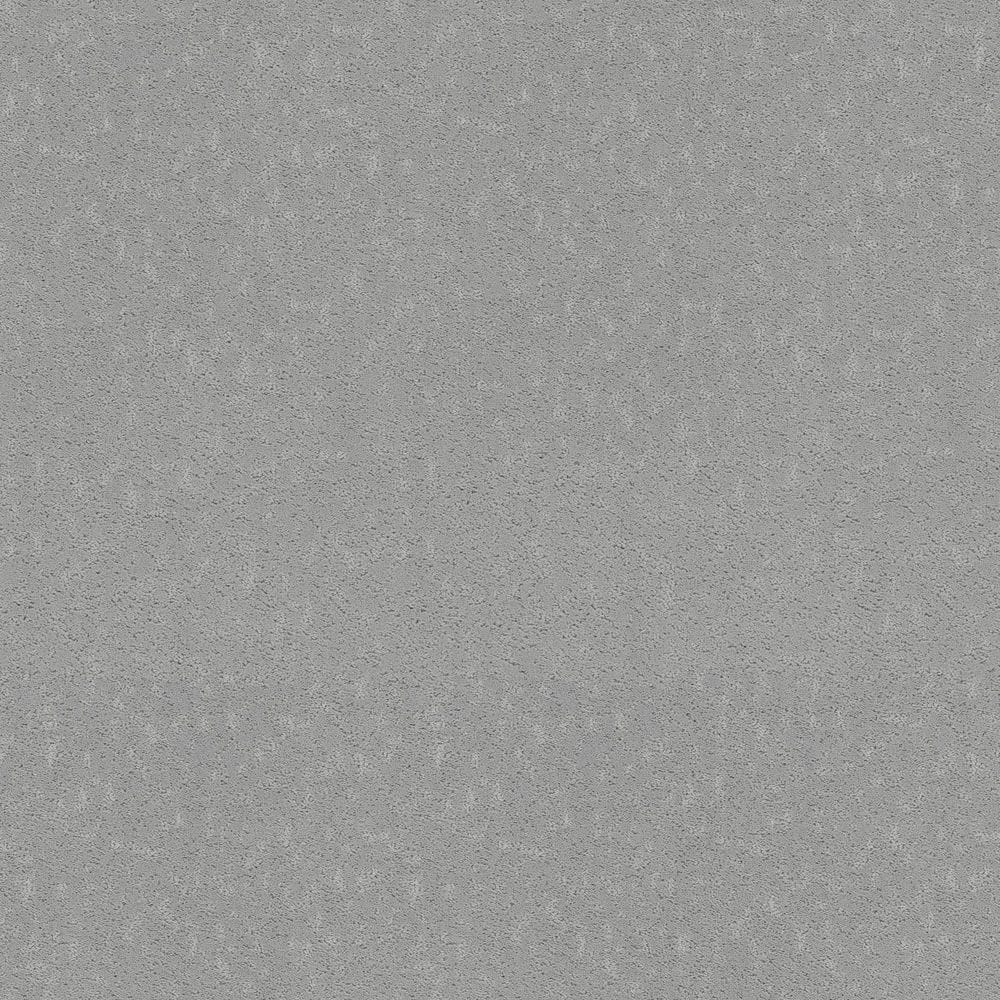 8 in. x 8 in. Pattern Carpet Sample - Pattern Plays - Color Mountain Stream price history on PriceWatchPro