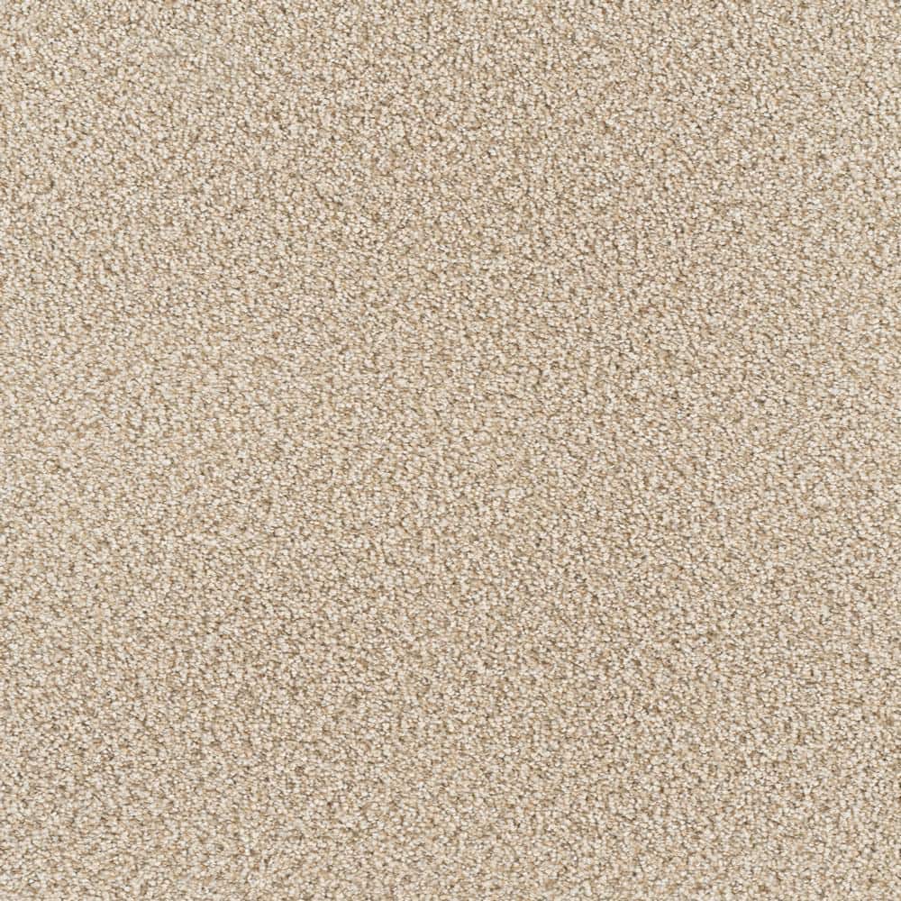8 in. x  8 in. Texture Carpet Sample - Spicework II -Color Norway price history on PriceWatchPro