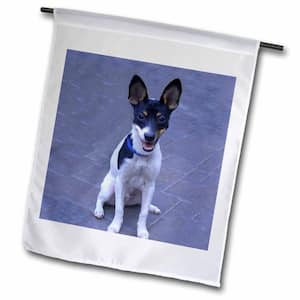 Dogs Fox Terrier 1 ft. x 1-1/2 ft. Toy Fox Terrier 2 Flag