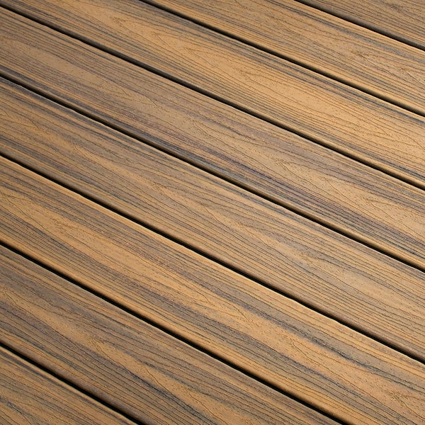 Transcend 1 in. x 6 in. x 1 ft. Havana Gold Composite Deck Board Sample - Brown