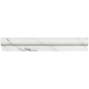 Greecian White Rail Molding 2 in. x 12 in. Polished Resin Wall Tile (1 lin. ft.)