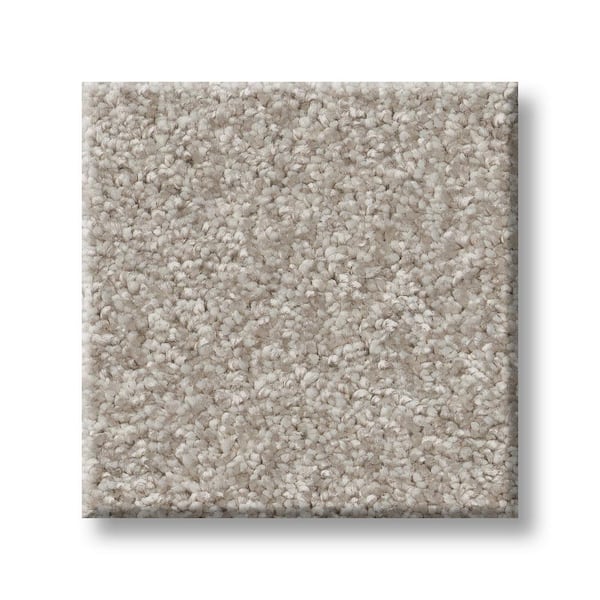 Lifeproof 8 in. x 8 in. Texture Carpet Sample - Rosemary II -Color Stark