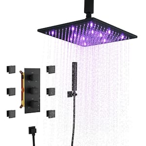 6-Spray 12 in. LED Thermostatic Dual Shower Head Ceiling Mount Fixed and Handheld Shower Head 2.5 GPM in Matte Black