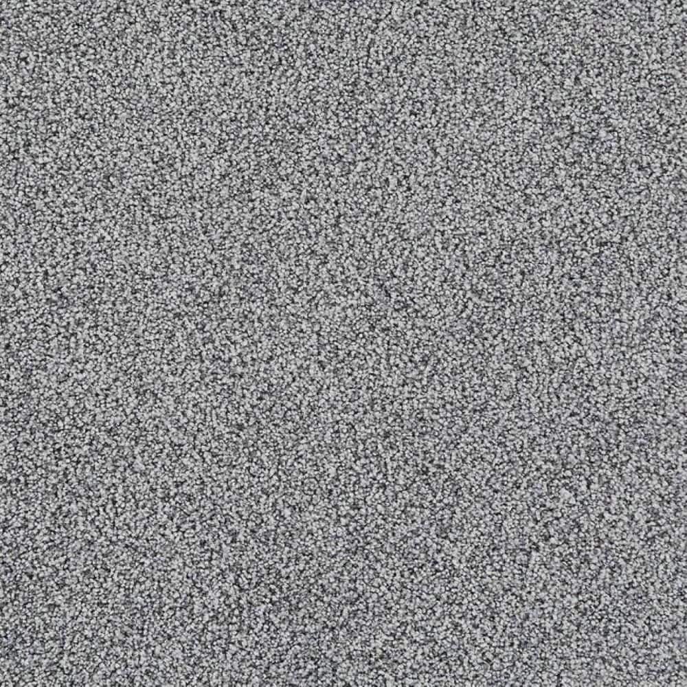 8 in. x 8 in. Texture Carpet Sample-Velvetine II-Color Dream price history on PriceWatchPro
