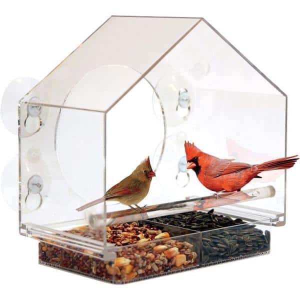 US Window Bird Feeder Wild Table Hanging Suction Perspex Clear Viewing Seed Tool 