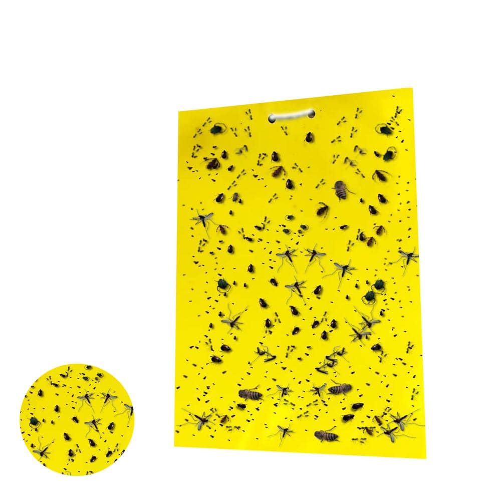 Details about   20Pack Dual-Sided Yellow Sticky Traps for Fungus Gnat Whitefly Leafminers Aphid