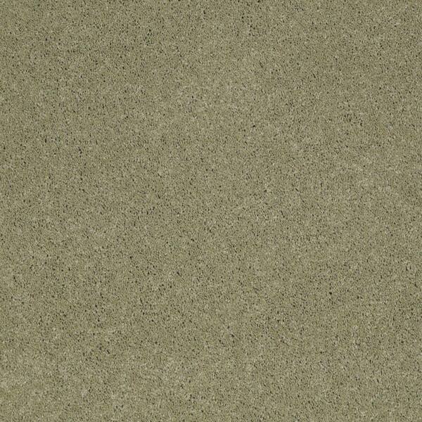 SoftSpring Carpet Sample - Miraculous II - Color Dragonfly Texture 8 in. x 8 in.
