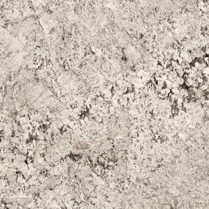 3 in. x 3 in. Granite Countertop Sample in Bianco Antico