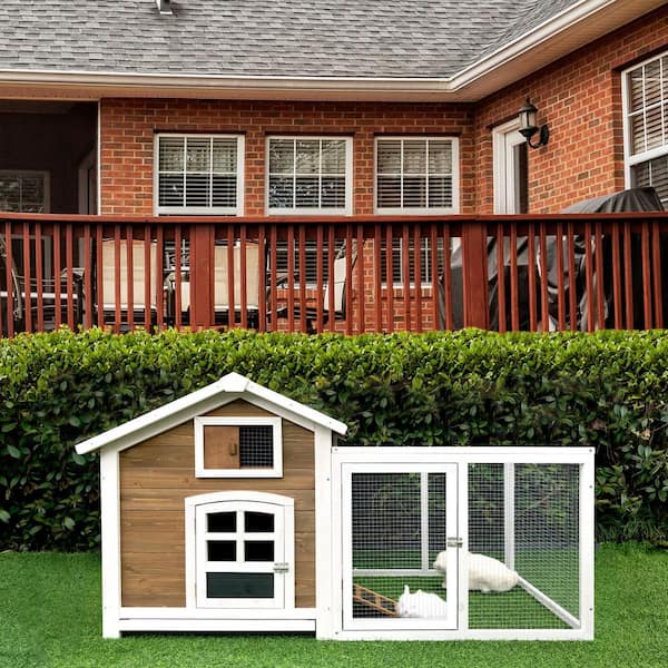 rabbit houses for outside