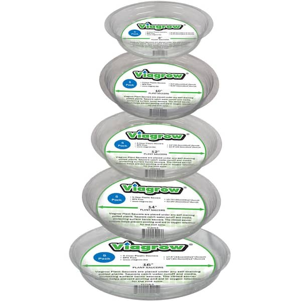 Clear Plant Saucers Variety (25-Pack)