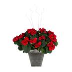 christmas poinsettia rose