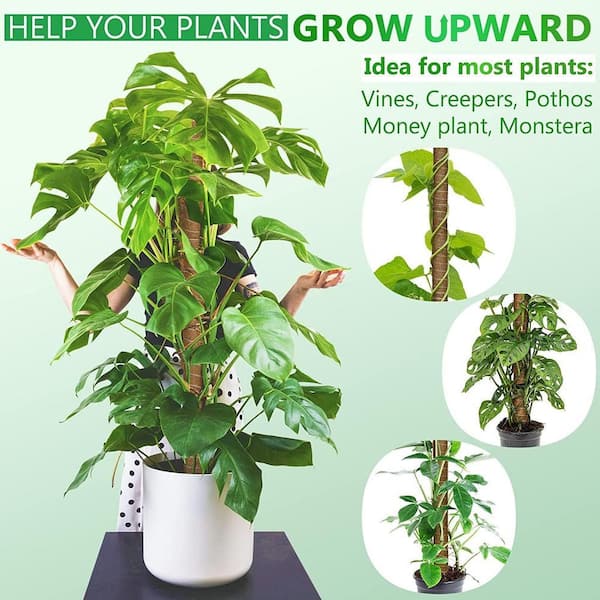 EVEAGE 30 in. Moss Pole Plant Support with 65 ft. Garden Twist Tie