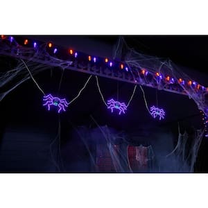 3-Pack 10 in. Twinkling LED Spiders