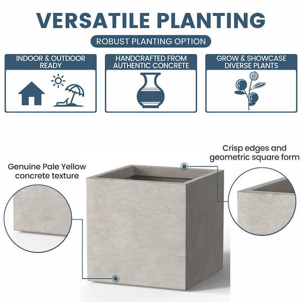 Sapcrete 12 in. Medium Light Gray Concrete Square planter Sapcrete 12 in. Medium Light Gray Concrete Square planter