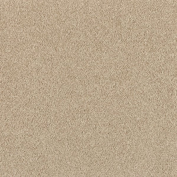 Home Decorators Collection Tailored Trends II Polished Brown 15 ft. 47 oz. Polyester Textured Carpet - Installation Required