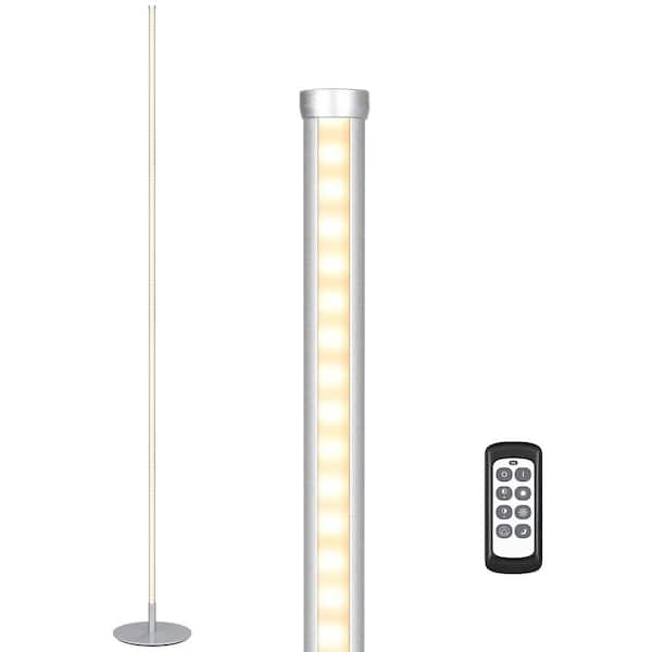 EDISHINE 57.5 in. Silver LED Dimmable Standing Floor Lamp for Living Room with Remote Control