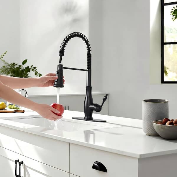 Akicon Black 18.12 in. H Single-Handle Pull-Down Sprayer Kitchen Faucet with 360° Spout Swivel