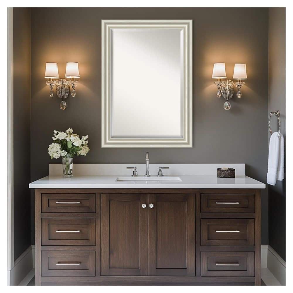 Sophia Silver 41.5 in. x 29.5 in. Beveled Traditional Rectangle Framed Bathroom Wall Mirror price history on PriceWatchPro