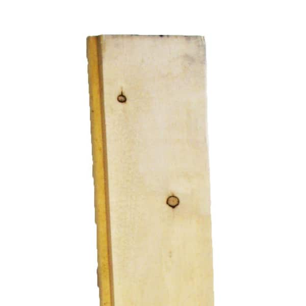 Unbranded 2 in. x 6 in. x 16 ft. Hi-Bor Tongue and Groove Decking Pressure-Treated Lumber