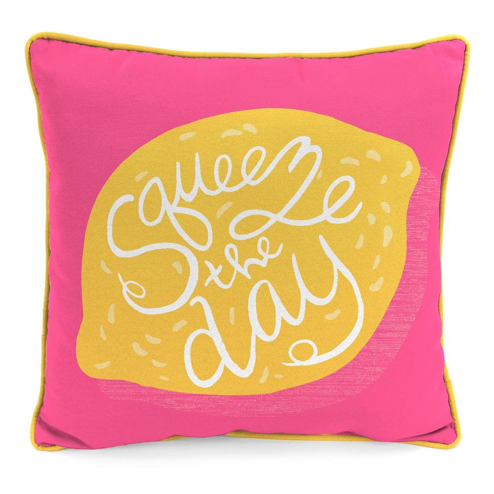 16 in. L x 16 in. W x 4 in. T Outdoor Throw Pillow in Squeeze the Day price history on PriceWatchPro