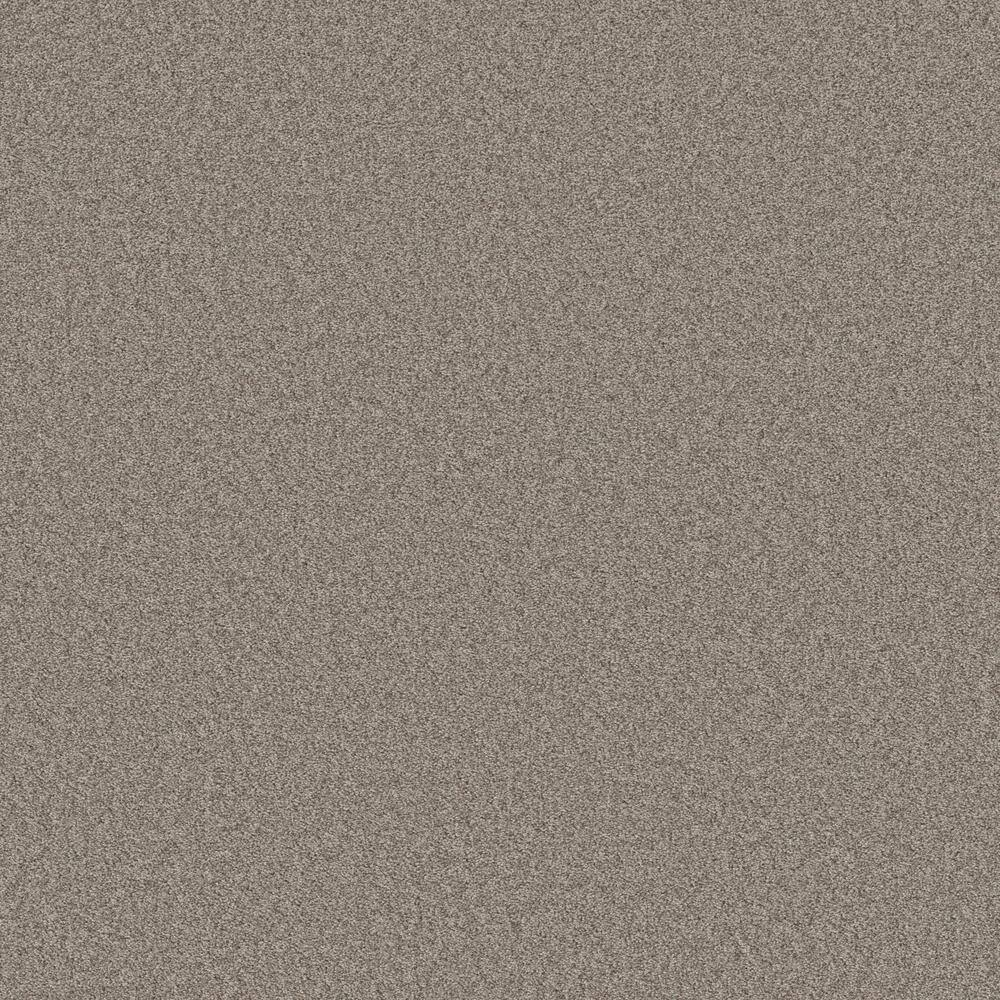 8 in. x 8 in. Texture Carpet Sample - Coastal Charm I -Color River Pebble price history on PriceWatchPro