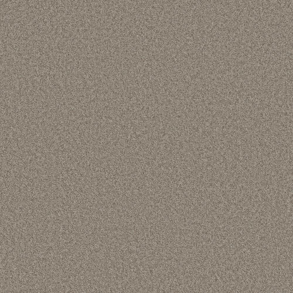 8 in. x 8 in. Texture Carpet Sample - Coastal Charm II -Color River Pebble price history on PriceWatchPro