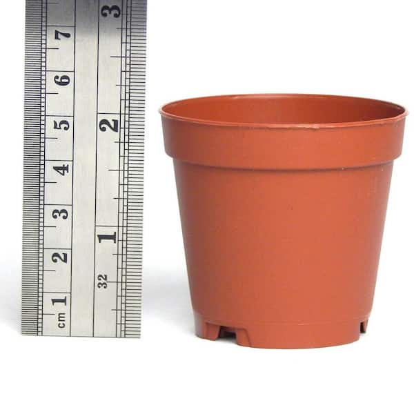 Azalea Style ~ Pots ARE 6 Inch Round At the Top and 4.25 Inch Deep. 20 NEW 6 Inch TEKU Plastic Nursery Pots 