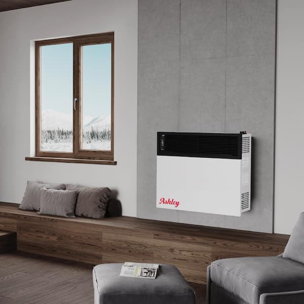 Ashley Hearth Products Ashley Direct Vent Wall Heater Dual Fuel