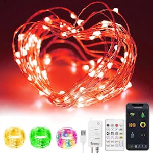 Fairy 65.6 ft. 132 LED Dreamcolor Smart String Multi-Color Lights Christmas Lights with IR Remote