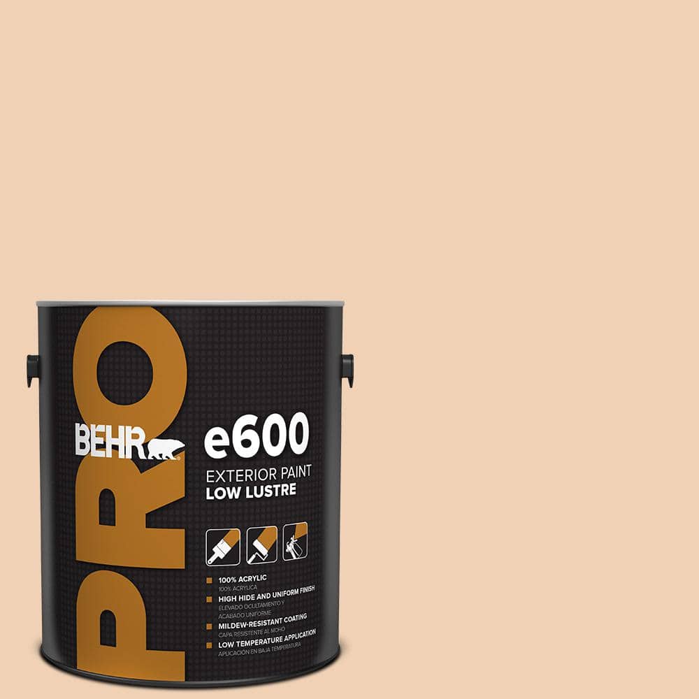1 gal. #PPU3-07 Pale Coral Low Luster Exterior Paint price history on PriceWatchPro