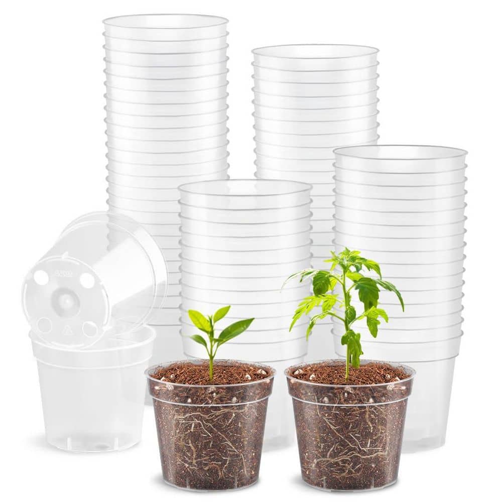 100-Piece 2.5 in. W x 2.28 in. H Transparent Plastic Nursery Pot with Drainage Holes for Seeds Start Seeds Germination price history on PriceWatchPro