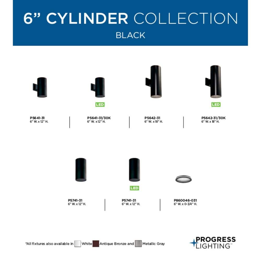 Black Aluminum 12" Indoor/Outdoor Flush Mount Cylinder Light