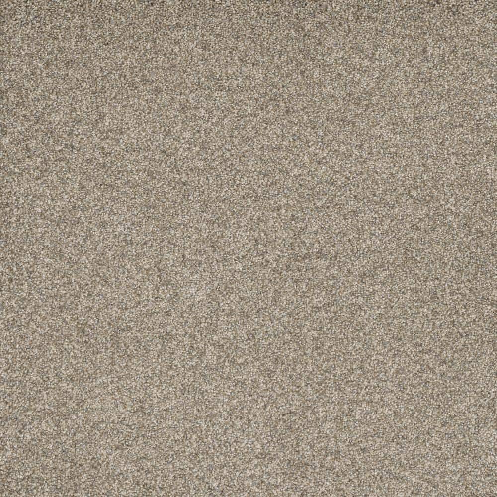 8 in. x  8 in. Texture Carpet Sample - Bradmore I -Color Zeal price history on PriceWatchPro