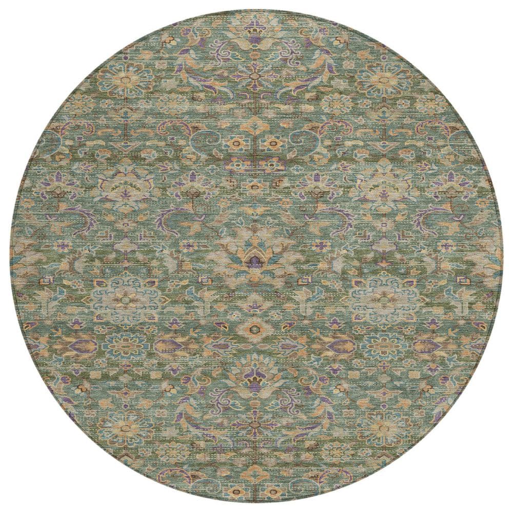 Chantille Machine Washable Indoor/Outdoor Abstract ACN2485 Basil 8 ft. x 8 ft. Round Rug price history on PriceWatchPro