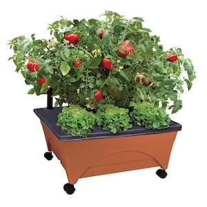 24.5 in. x 20.5 in. Patio Raised Garden Bed Grow Box Kit with Watering System and Casters in Terra Cotta