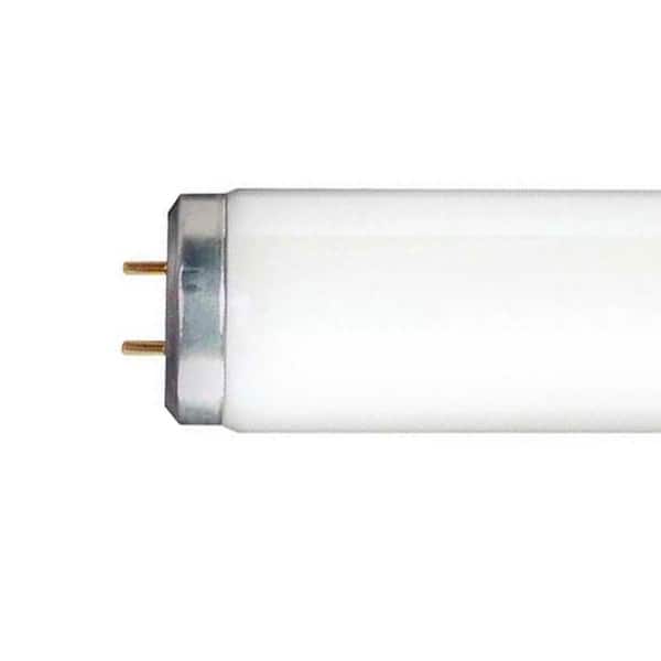 47.78 in. 32.0-Watt Equivalent T8 G13 Base LED Daylight Deluxe Dimmable Linear Bulb 240-Pack