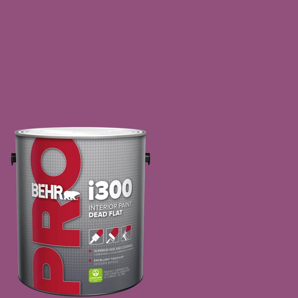 1 gal. #P110-7 XOXO Dead Flat Interior Paint price history on PriceWatchPro