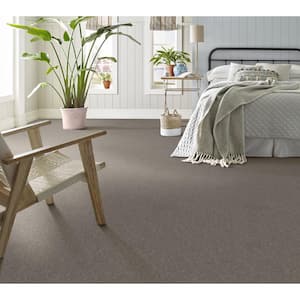 House Party II - Concrete Mix - Gray 51.5 oz. Polyester Texture Installed Carpet