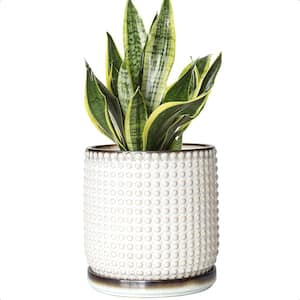 Beaded 5.8 in. L x 5.8 in. W x 6.5 in. H 2.4 qts. Smoked White Indoor Ceramic Planter 1 (-Pack)